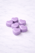 Soy Wax Melts - Homecoming